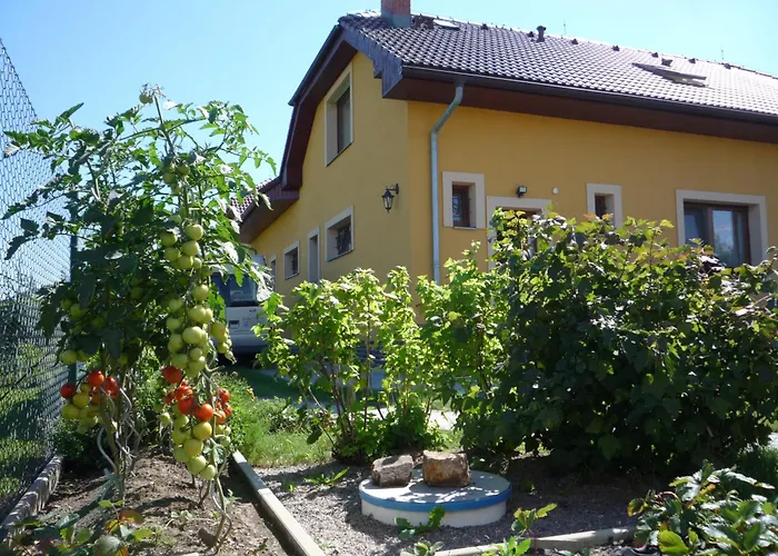 Apartment Graf Chyne